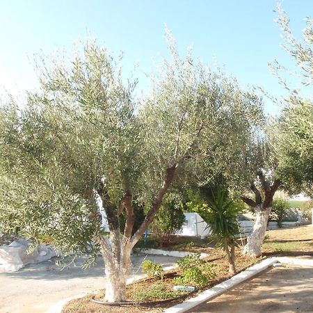 לרדוס Amaryllis Front Beach Hotel מראה חיצוני תמונה