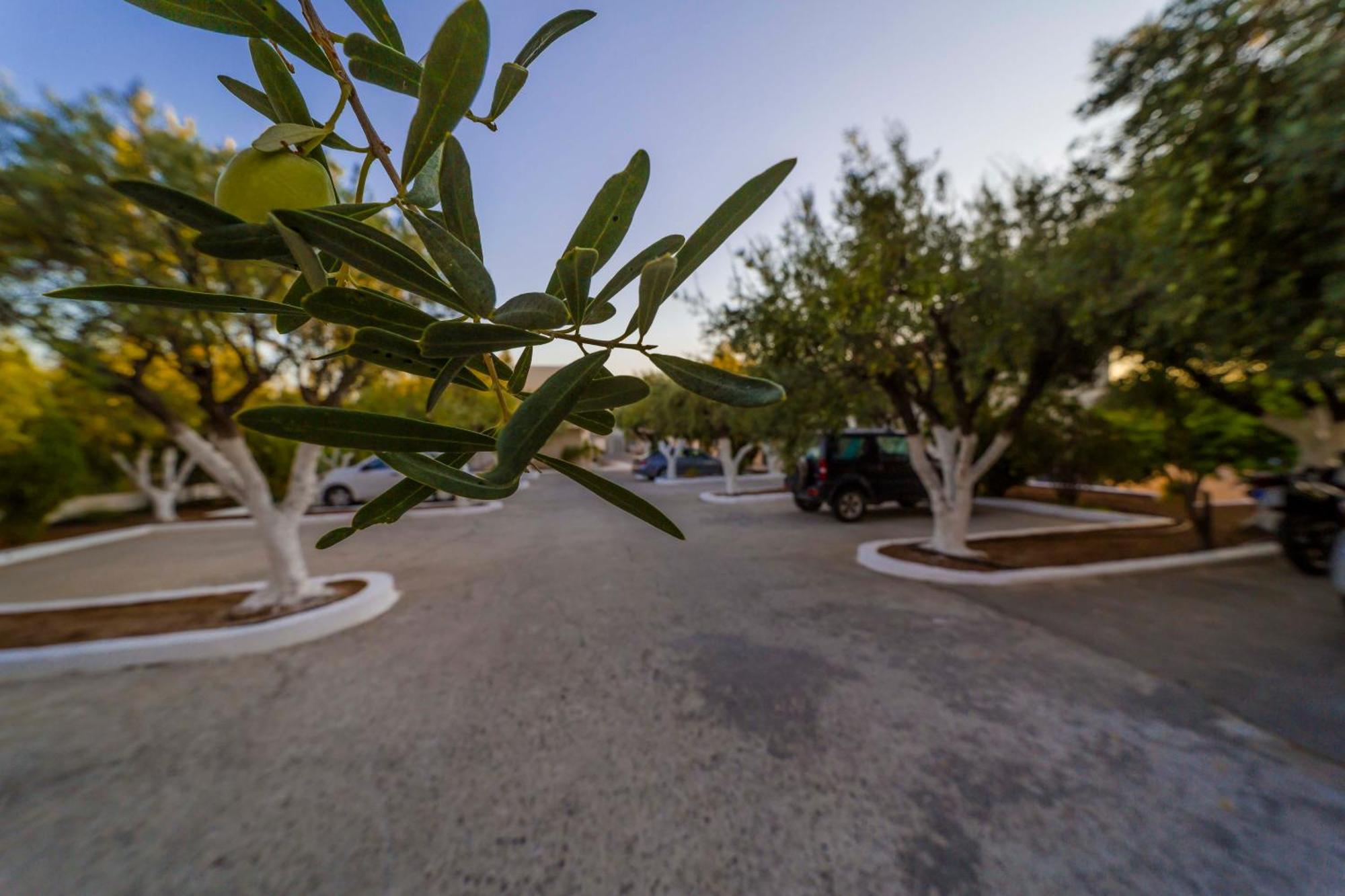 לרדוס Amaryllis Front Beach Hotel מראה חיצוני תמונה