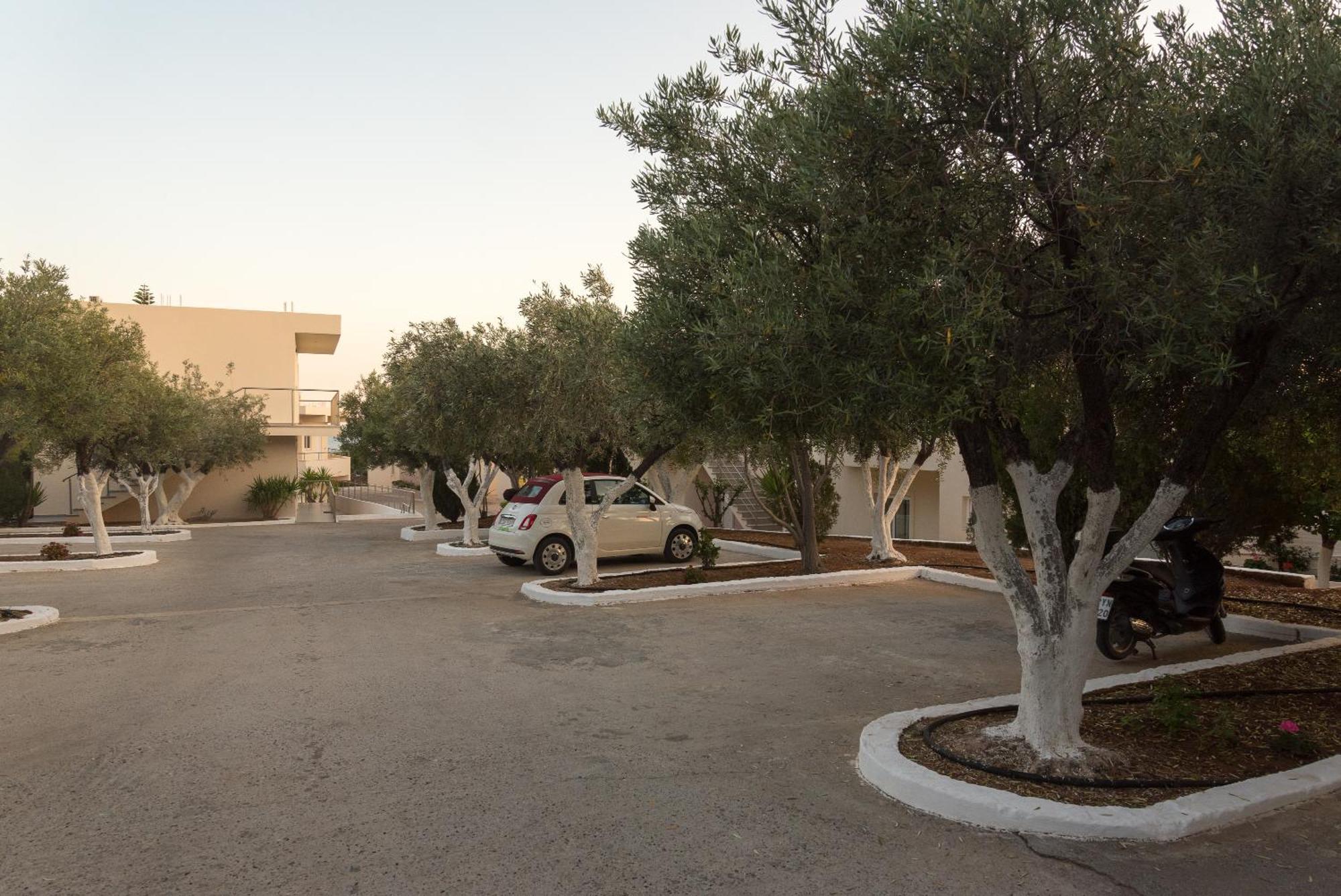 לרדוס Amaryllis Front Beach Hotel מראה חיצוני תמונה
