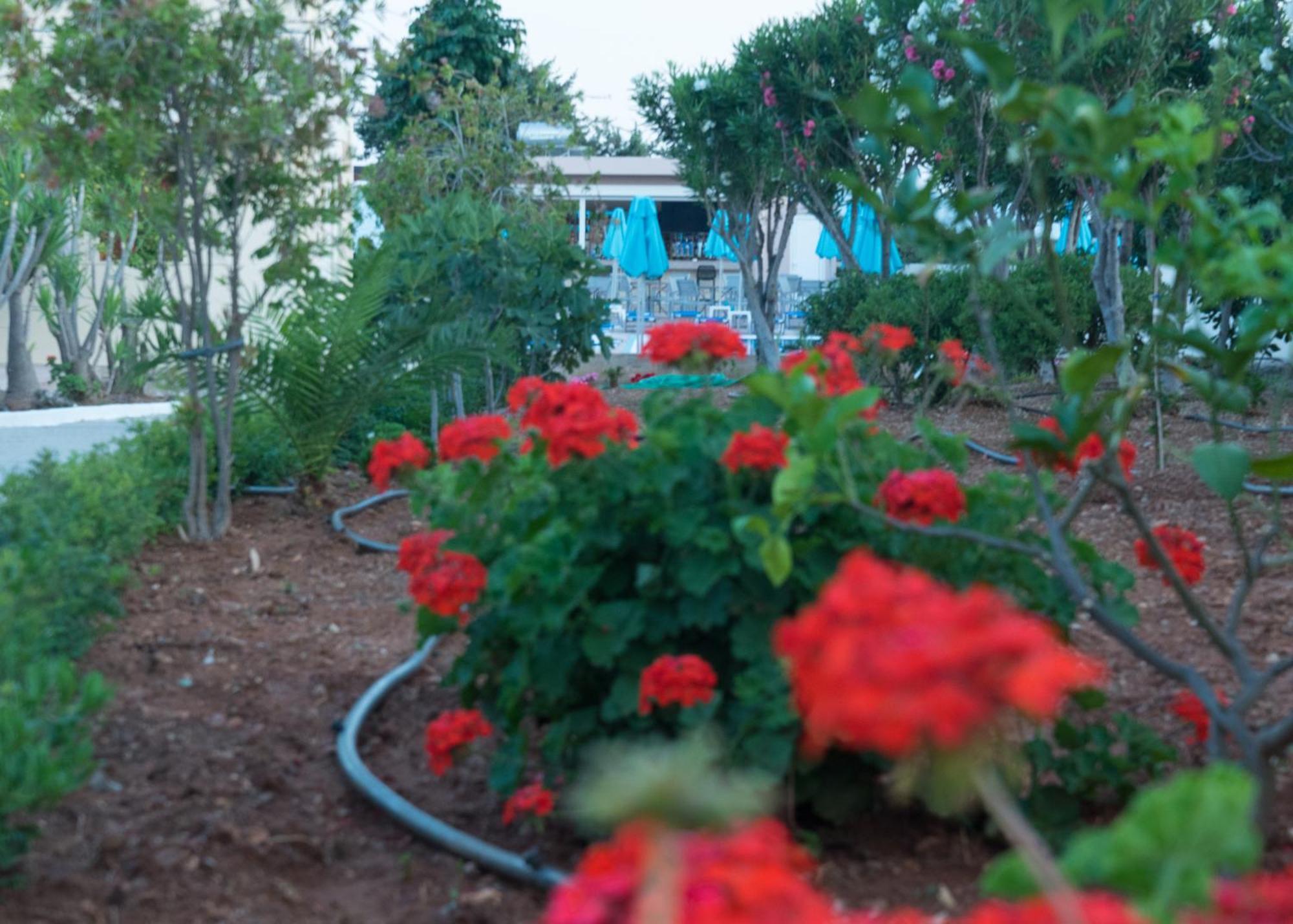 לרדוס Amaryllis Front Beach Hotel מראה חיצוני תמונה